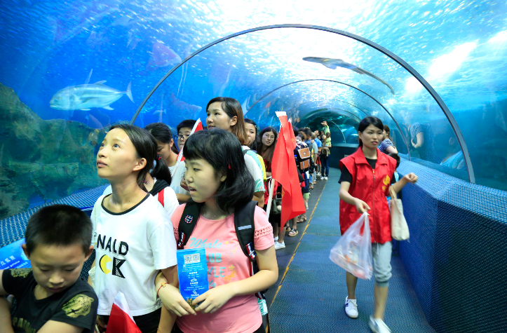 15742589369663244Tf1.png QQ½ØÍ¼20191120220600.png